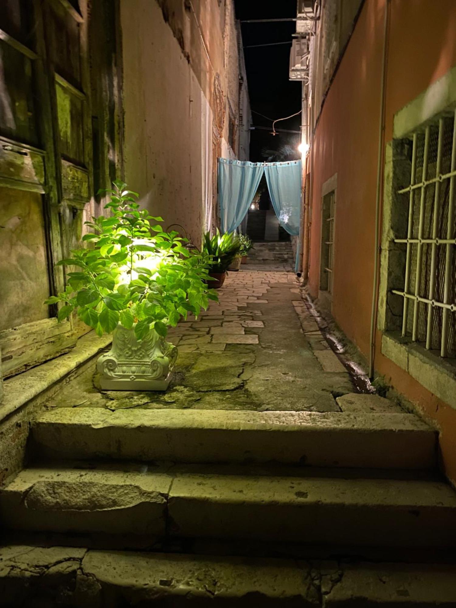 Secret Garden Apartment Zadar Dış mekan fotoğraf